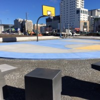 Half basketball court 