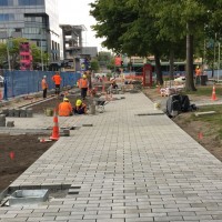 ARP Victora Square path 20171128