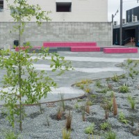 SF Evolution Square 20171213