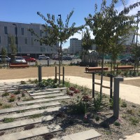 The landscaped CTV site 