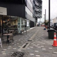 Hauora Lane