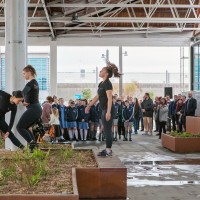 rsz kahikatea common hagley dance company
