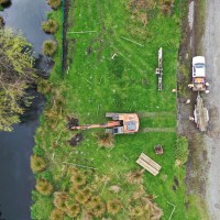 Avon Loop boardwalk piling