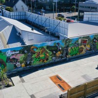 The Greenway - November 2020 
