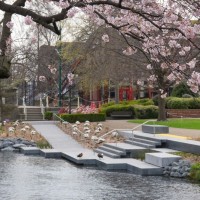 Spring River